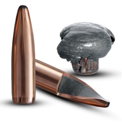 .30Cal - Oryx - 165gr